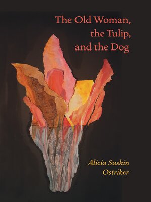 cover image of The Old Woman, the Tulip, and the Dog